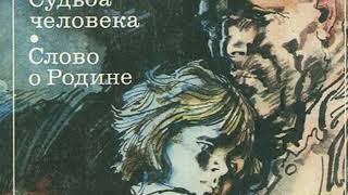 Сайт кракен 24