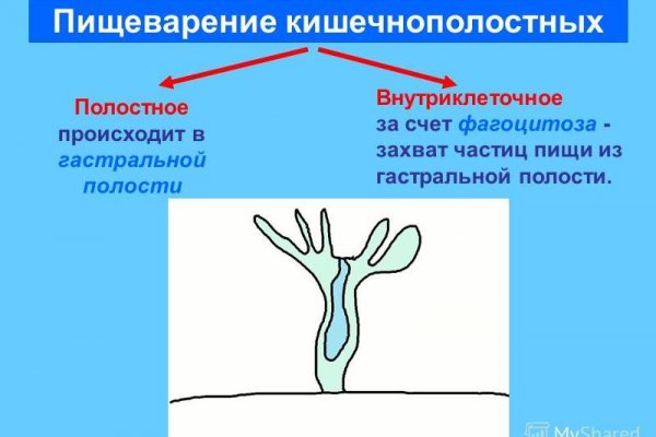 Kraken com зеркало
