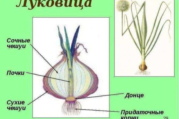Кракен маркет что