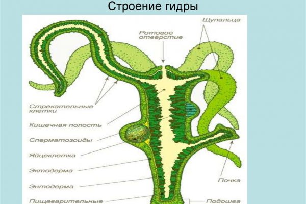 Кракен купить счастье