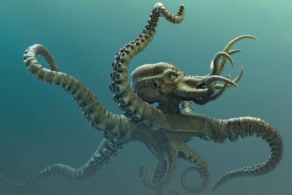 Сайт kraken whitenet