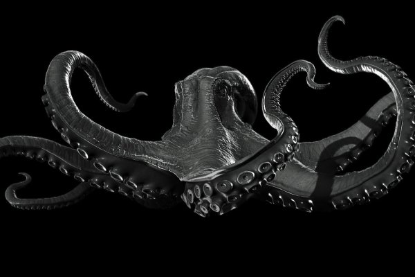 Kraken маркет whitenet только через tor