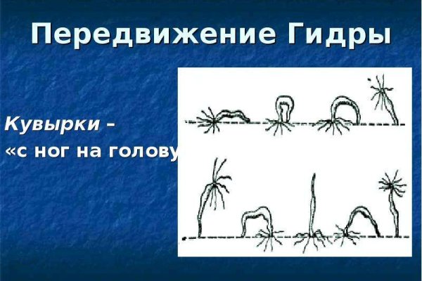 Ошибка на кракене