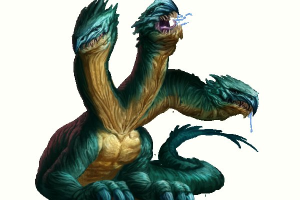 Kraken 24 at