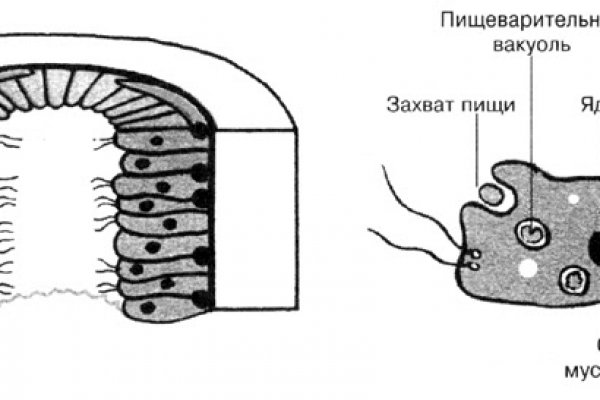 Супернет площадки