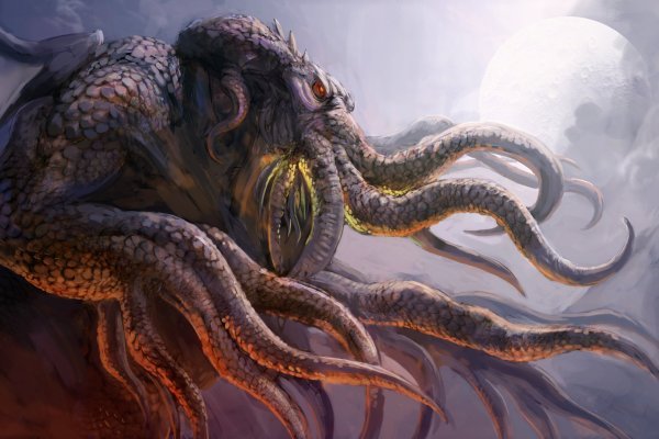 Kraken link