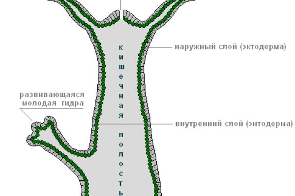 Kraken зеркало супернет