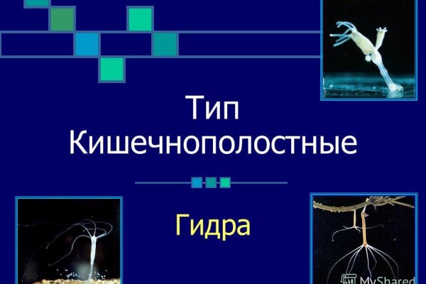Kraken счастье сайт