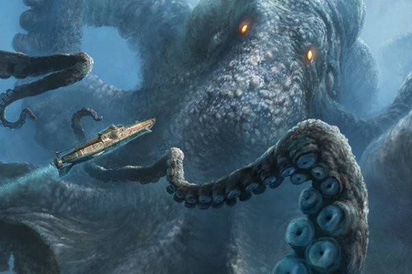 Kraken whitenet kraken whitenet 2n com