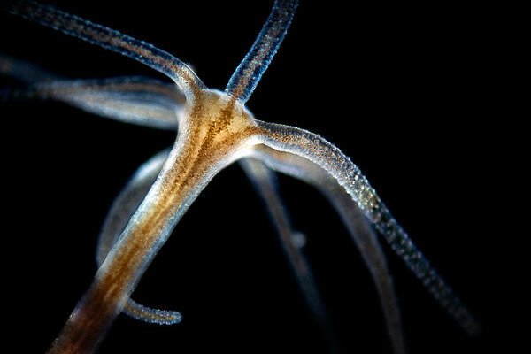 Kraken счастье сайт