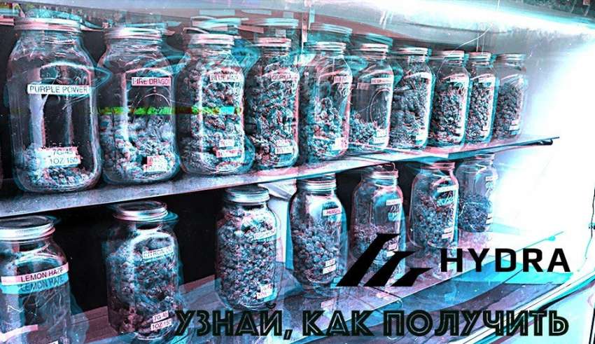 Кракен сайт в тор браузере