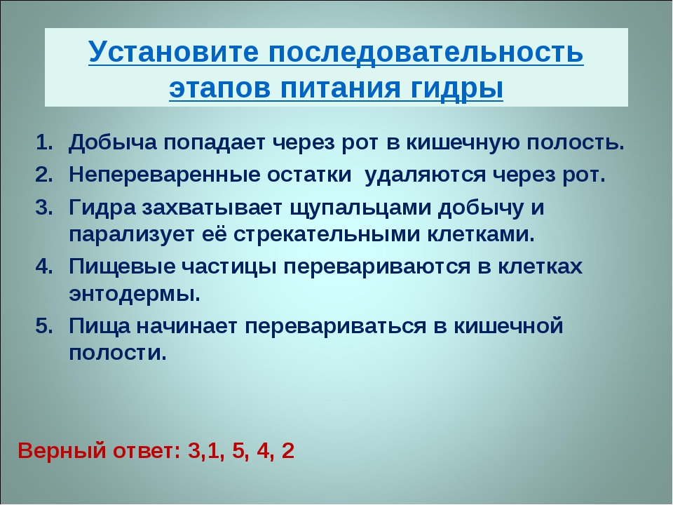 Кракен рабочая ссылка тор